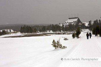 Enlarge photo 181