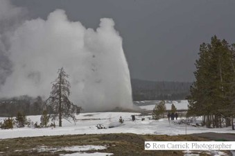 Enlarge photo 182
