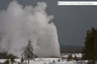 Enlarge photo 184