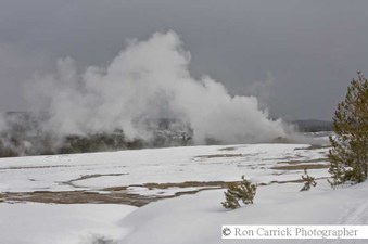 Enlarge photo 187