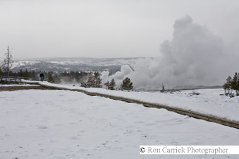 Enlarge photo 194