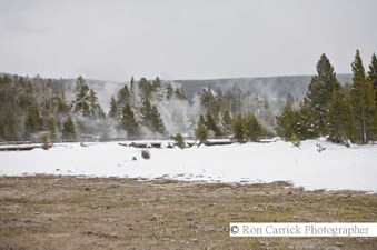 Enlarge photo 198