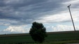 Enlarge photo 72