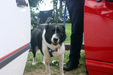 Enlarge photo 151