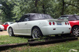 Enlarge photo 160