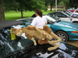 Enlarge photo 197