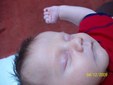 Enlarge photo 80