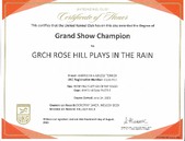GRCH ROSE HILL PLAYS IN THE RAIN VSWE