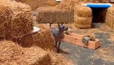 Enlarge photo 2