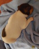 Enlarge photo 3