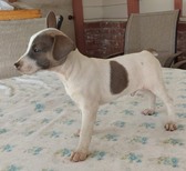 Billy