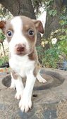 Usher (already at his new home)