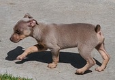 Enlarge photo 5