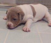 BONNIE at her new home