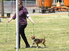 Enlarge photo 8