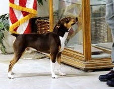 Enlarge photo 22