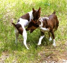 Enlarge photo 32