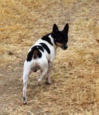 Enlarge photo 6