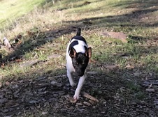 Enlarge photo 5