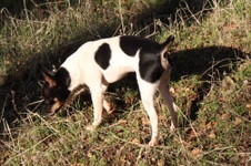 Enlarge photo 12