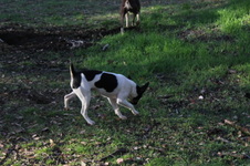 Enlarge photo 10