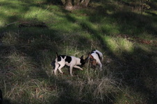 Enlarge photo 13