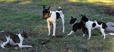 Enlarge photo 14