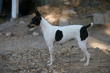 Enlarge photo 12