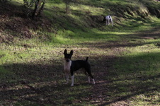 Enlarge photo 17