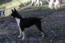 Enlarge photo 15