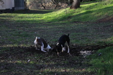 Enlarge photo 14