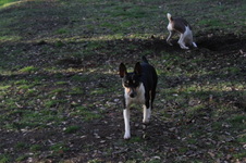 Enlarge photo 13