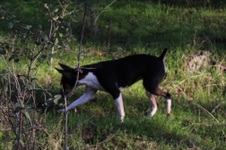 Enlarge photo 12