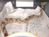 Enlarge photo 36