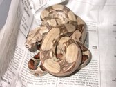 Enlarge photo 38