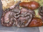 Enlarge photo 23