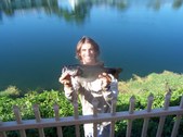 Enlarge photo 185