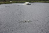 Enlarge photo 47
