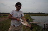 Enlarge photo 57