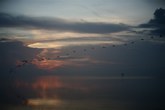 Enlarge photo 87
