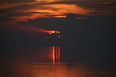 Enlarge photo 88