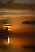Enlarge photo 91