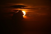 Enlarge photo 93