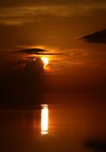 Enlarge photo 95