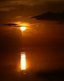 Enlarge photo 97