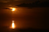 Enlarge photo 98