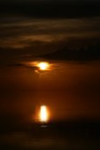 Enlarge photo 99