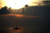 Enlarge photo 100