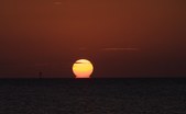 Enlarge photo 67