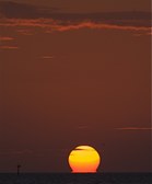 Enlarge photo 70
